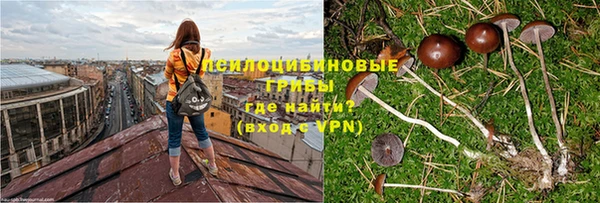 каннабис Новозыбков