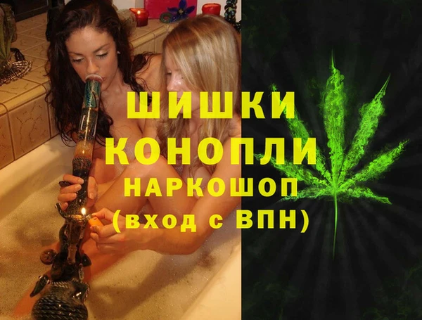 ECSTASY Новодвинск