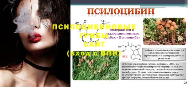 ECSTASY Новодвинск
