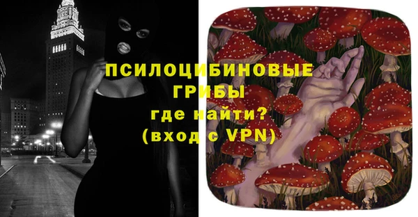 герыч Новокубанск