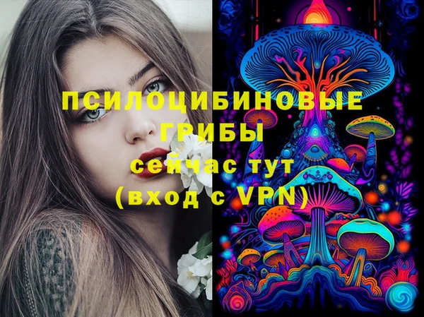 PSILOCYBIN Вязники