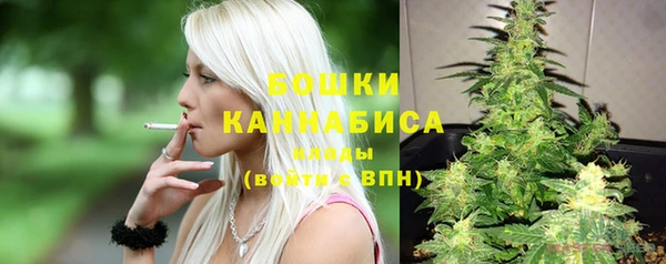 каннабис Новозыбков
