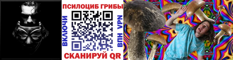 omg ТОР  Олонец  Псилоцибиновые грибы Psilocybine cubensis 